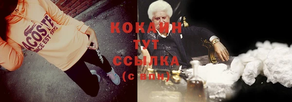 гидра Алексин